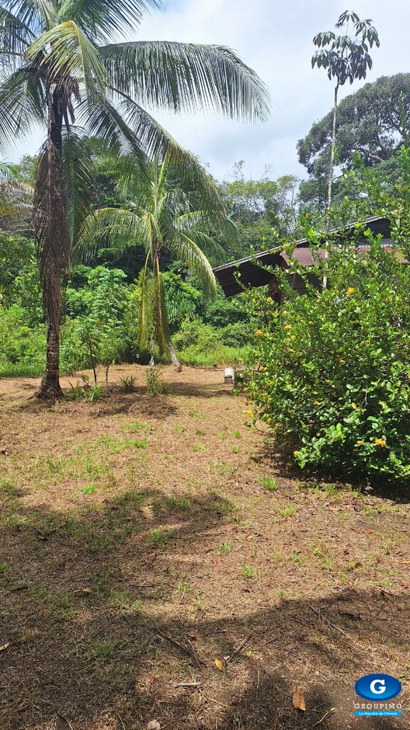Grand terrain de 2 hectares 