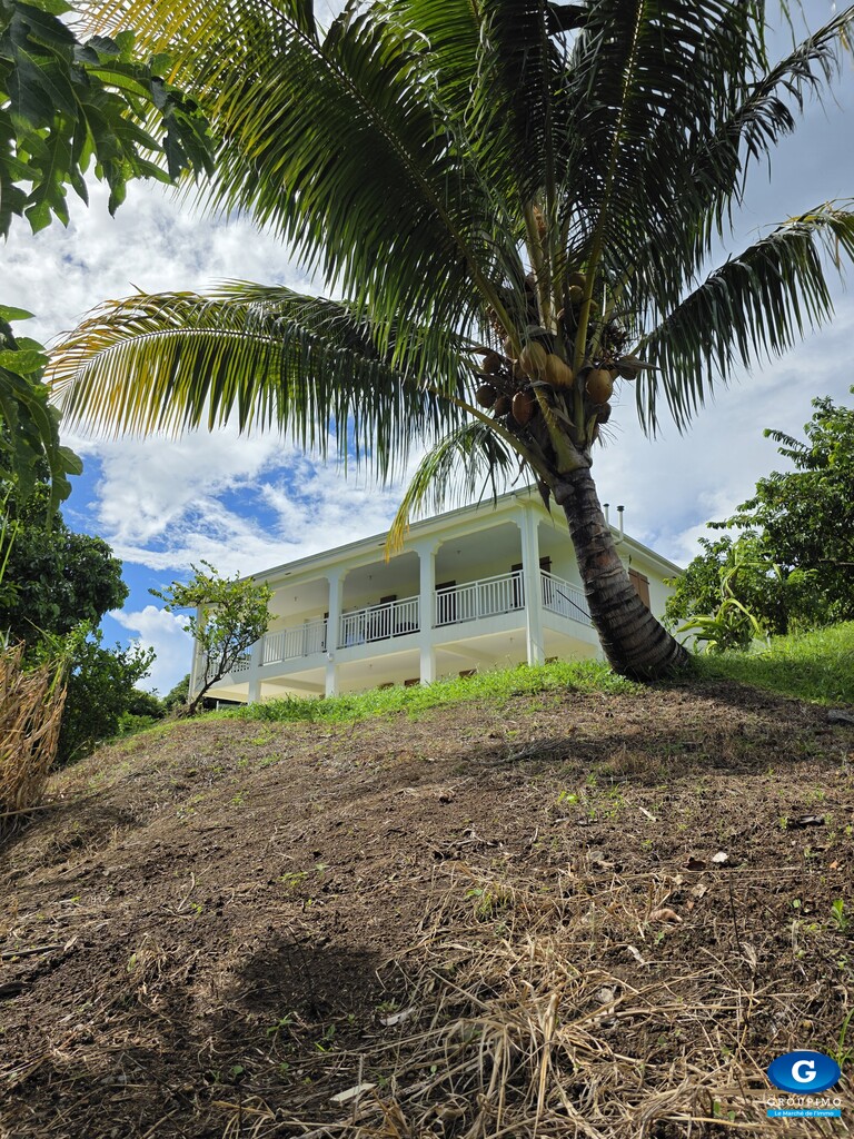 T4 HAUT DE VILLA MORNE VERT